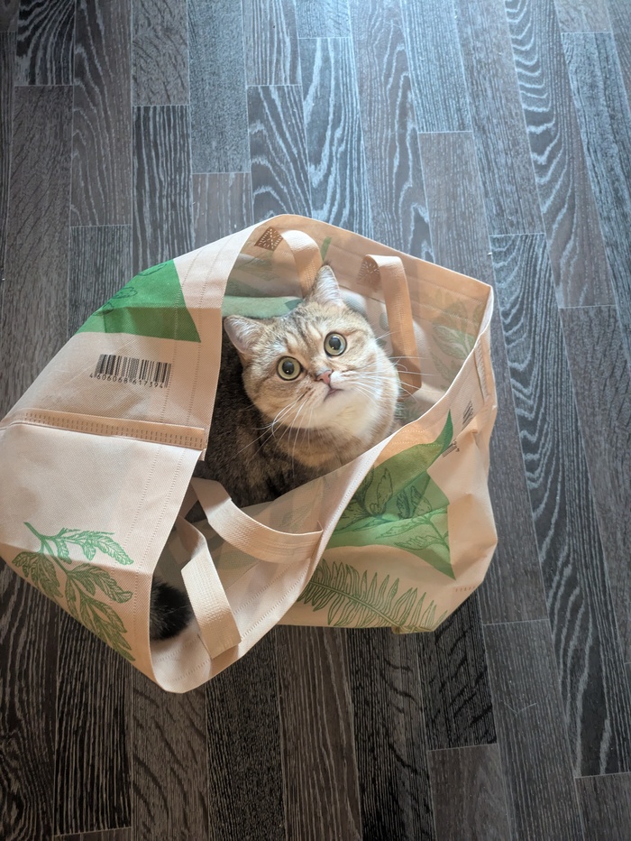 ����� � ������