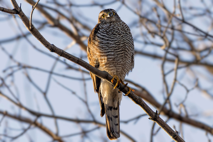 ������-������������ ������� �� ������