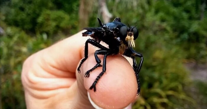 �����. ����-������, ������� ���������� ������������ ����� �����