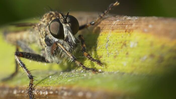 �����. ����-������, ������� ���������� ������������ ����� �����