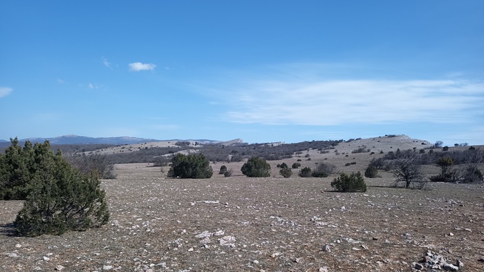 Последние пару км идёшь плюс-минус по такому. Высота над уровнем моря 600+м