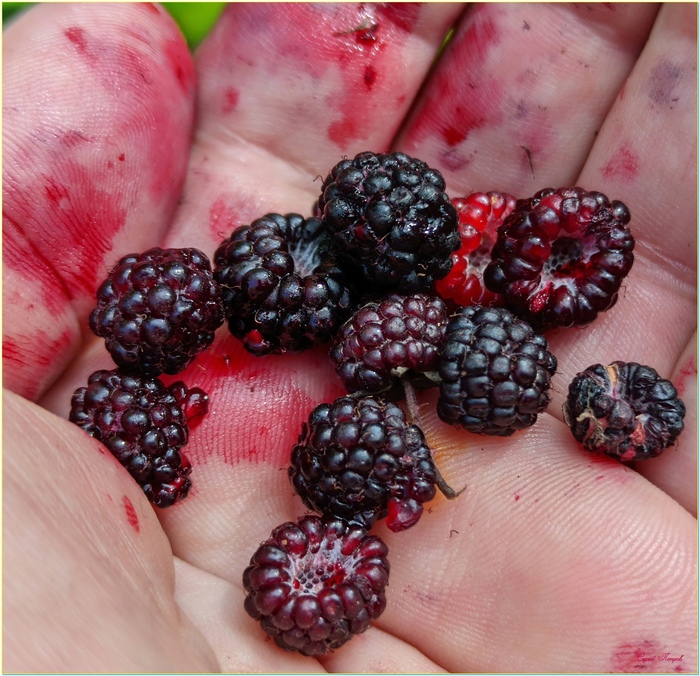 �������