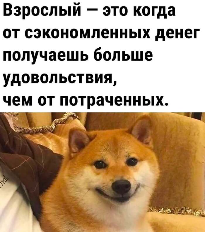 �������� �����