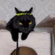������ ������������ user10731576