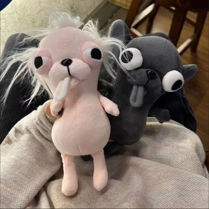 ������� ��������� �� 5 ����