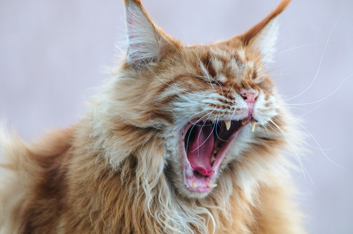 ���������!!!