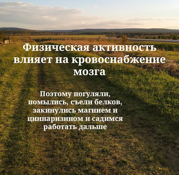 ������ �������