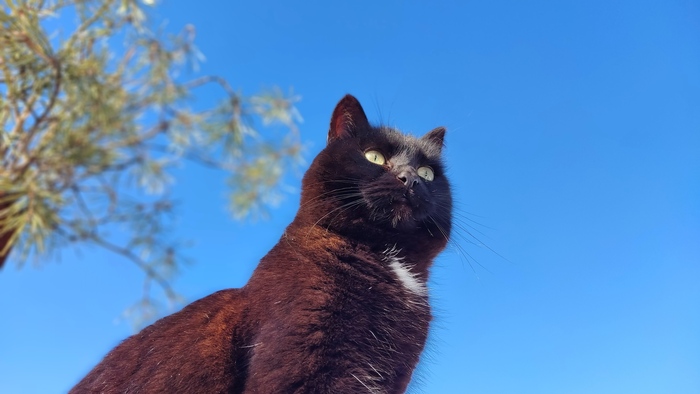 Весна пришла