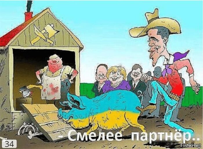 ��������� ����