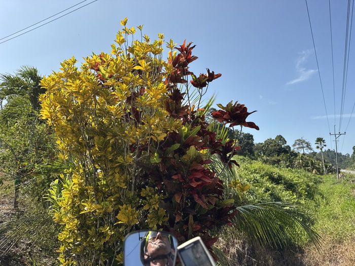 ������-����� ������ ���������� �����