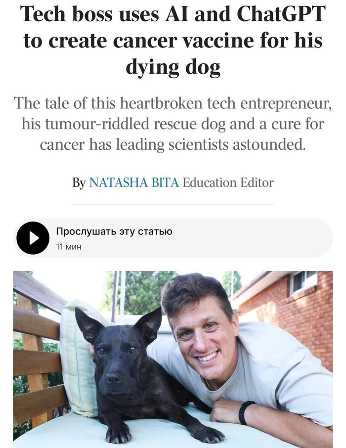 Австралийский айтишник спас свою собаку от рака с помощью ИИ