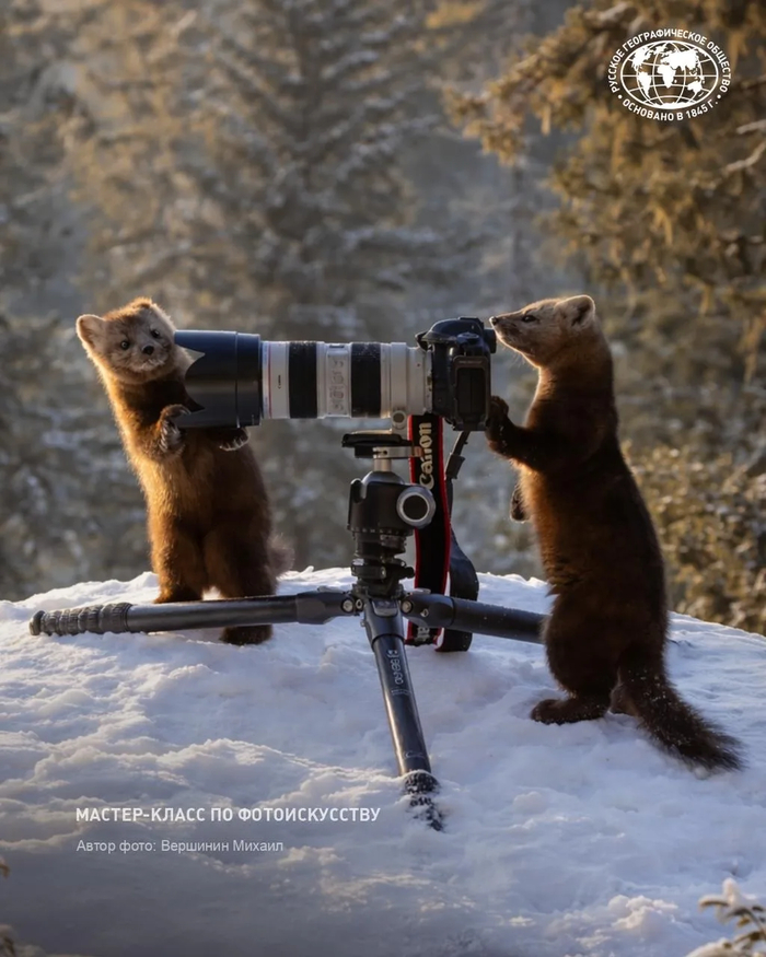 ����: �������� ������, �������� ������������ ������ �������� ������, <a href="https://pikabu.ru/story/masterklass_po_fotoiskusstvu_13790554?u=https%3A%2F%2Fmax.ru%2Frgo1845%2FAZzVsNGjMnk&t=%D0%BE%D1%82%D1%81%D1%8E%D0%B4%D0%B0&h=c476d3764d93cacc75710345addef810351700c0" title="https://max.ru/rgo1845/AZzVsNGjMnk" target="_blank" rel="nofollow noopener">������</a>