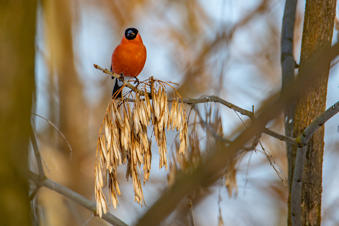 ����� . �����. 2026 �. 