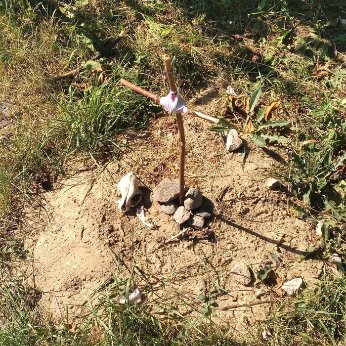 ������� � ���������, ���������