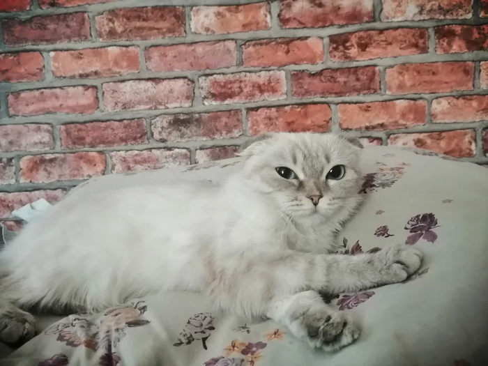 ���� ������ ��������� ���� � �������� ��� ����