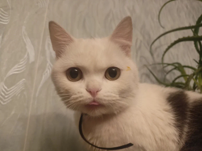 �������� �������� ������� � �������� ��� ��������� ���� �������� � ��������� ���� �� ����� �����. ���.