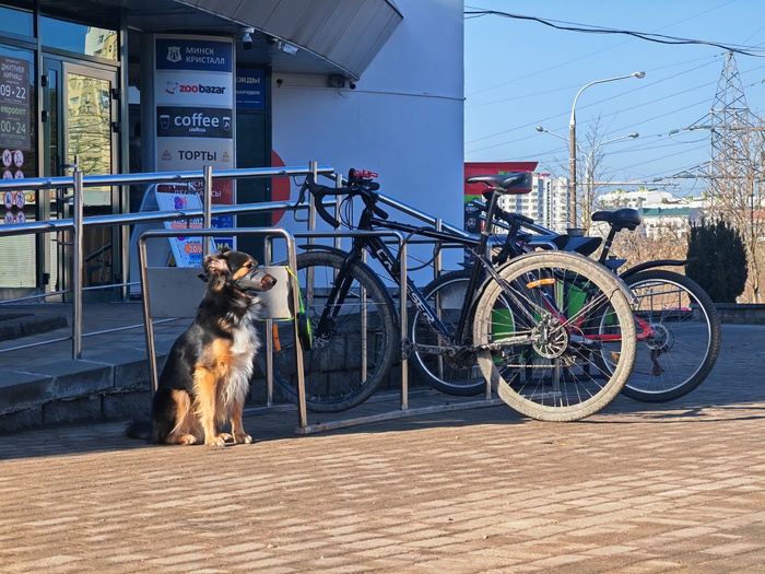 �������� ��� ������ �������� � ��������