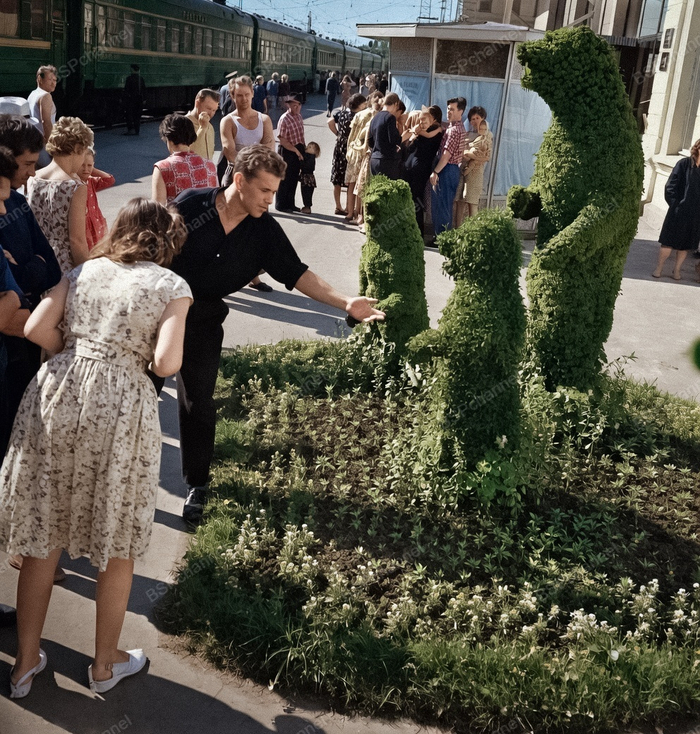 �����: �. �. ����������