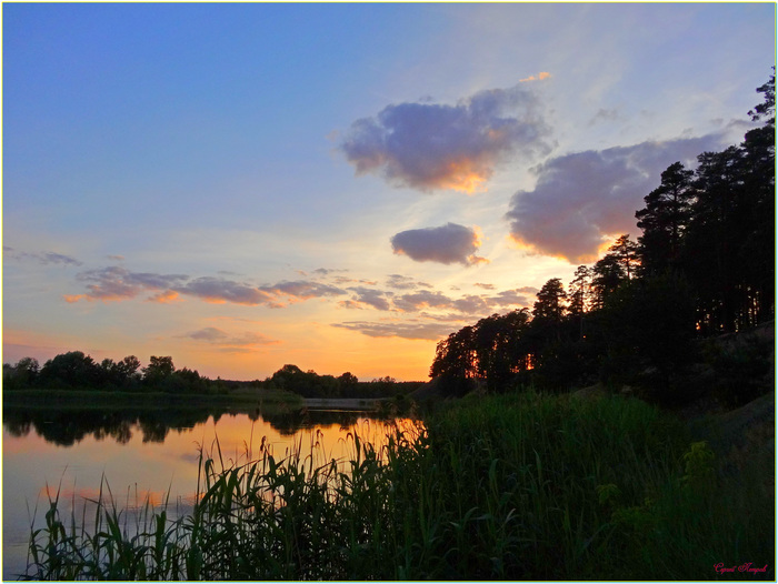 �� ������