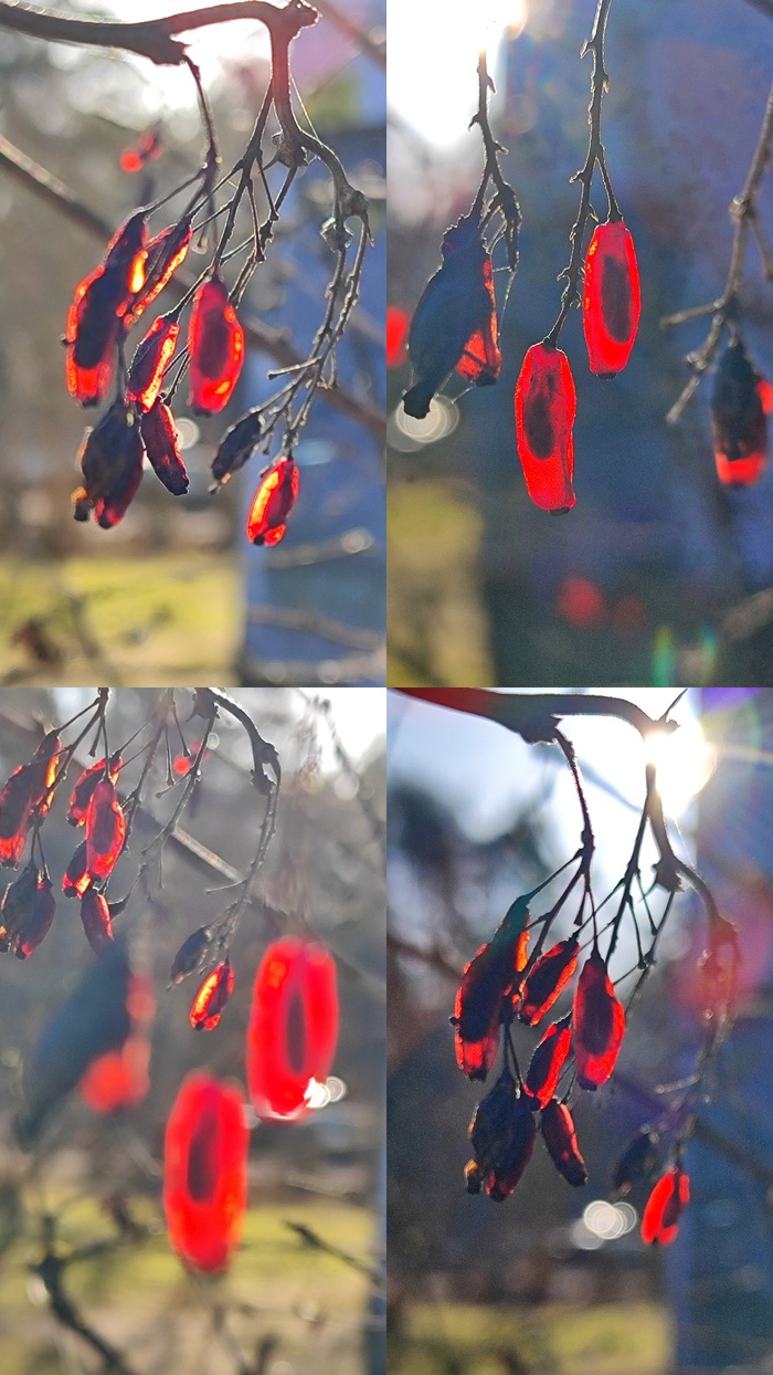 ������� �����