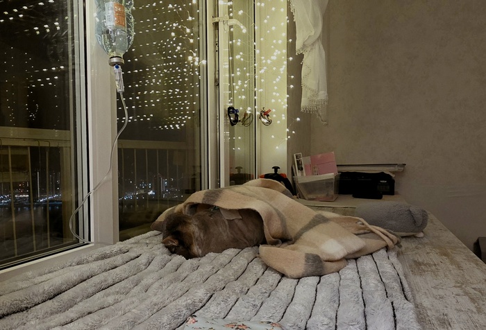 ���� �������