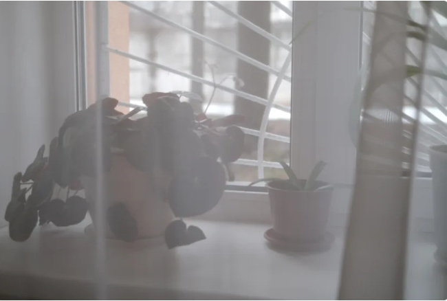 �������������� ������, � ������� ������ ��������� �����, �������� � �������, ����� �������� ����������� ��� ������