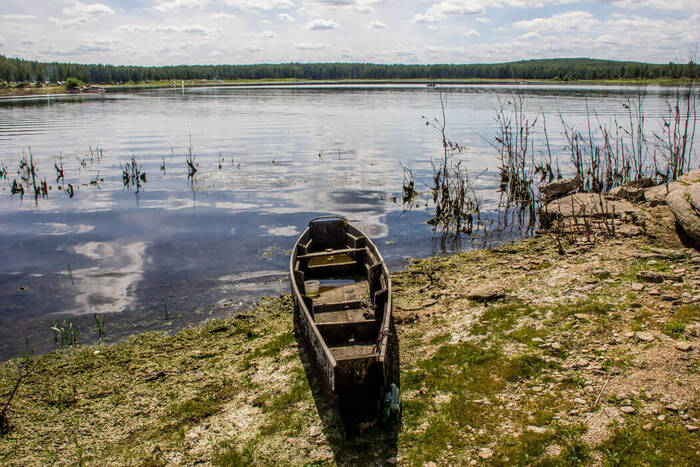 ����������� �������������. ����: ����� �����������