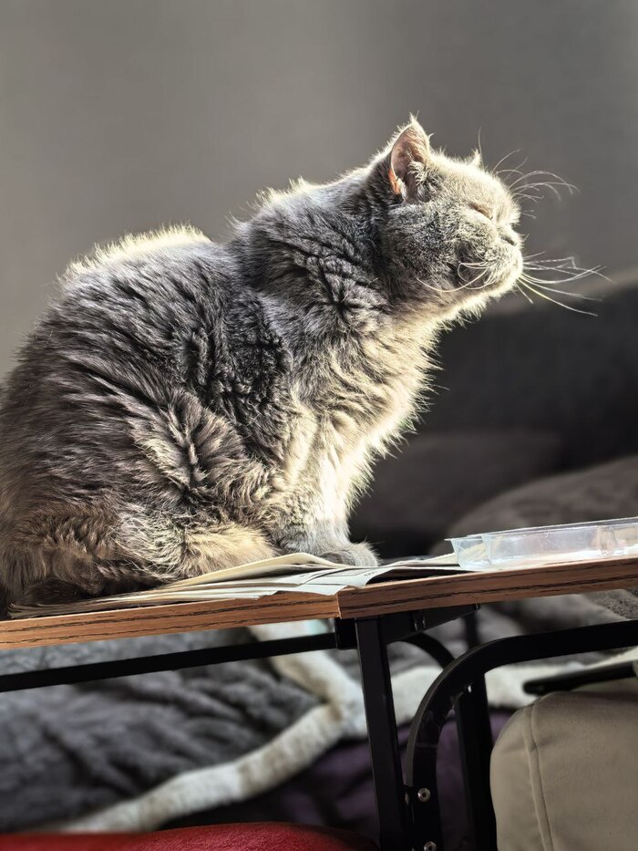 ��������� ������, ��� ��� ���