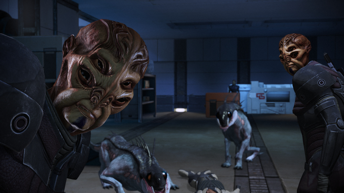 �� ������ ��� ����� �� ��������.