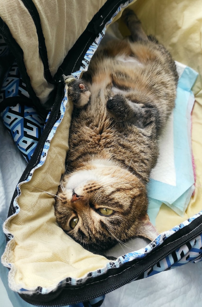 � ����� ������ �������������