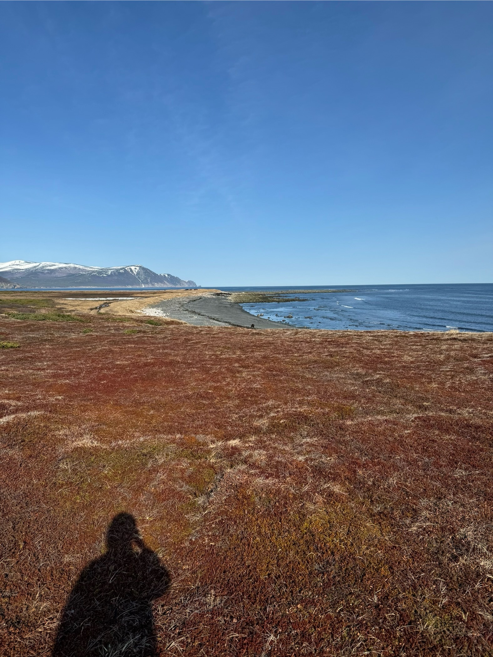 A Meteorologist's Notes: How My Husband Was Almost Eaten by a Bear - My, Weather station, Headland, Meteorologists, Magadan Region, The Bears, Sea of ??Okhotsk, Magadan, wildlife, Longpost