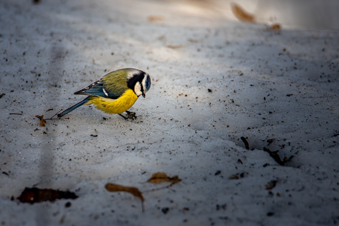 ������. �����. 2026