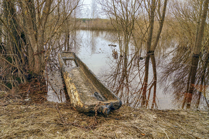 ����: ������ ������ <a href="https://pikabu.ru/story/razliv_na_reke_pra_13798264?u=https%3A%2F%2Frtraveler.ru%2Fphoto%2F1481914%2F%3Fnew_photos%3D1&t=%D0%BE%D1%82%D1%81%D1%8E%D0%B4%D0%B0&h=6085bbeeaf39238c16e97fac5c7413c20768a3d5" title="https://rtraveler.ru/photo/1481914/?new_photos=1" target="_blank" rel="nofollow noopener">������</a>