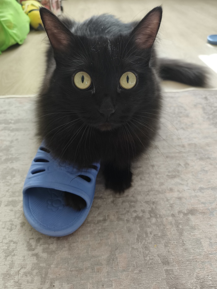 ��������� � ��������