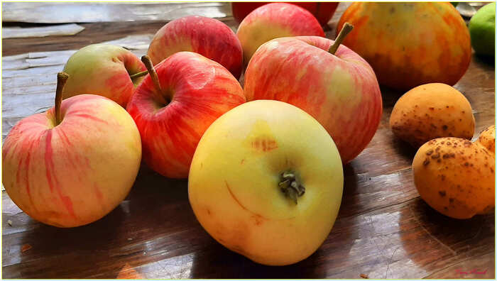 �������