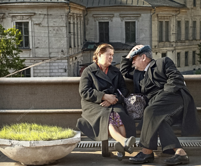 ��������: ���� ��������