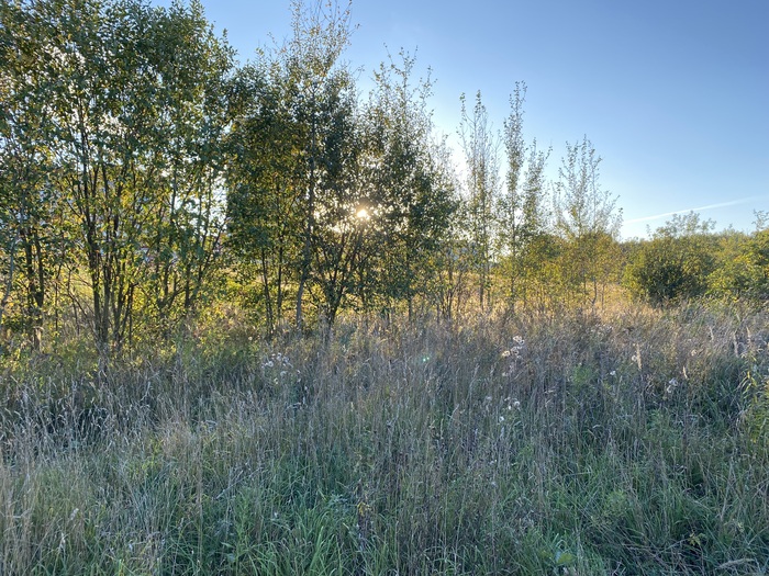 ��� ���, ��� ��������, ��� ������ ����������� ������ ������ ��������.