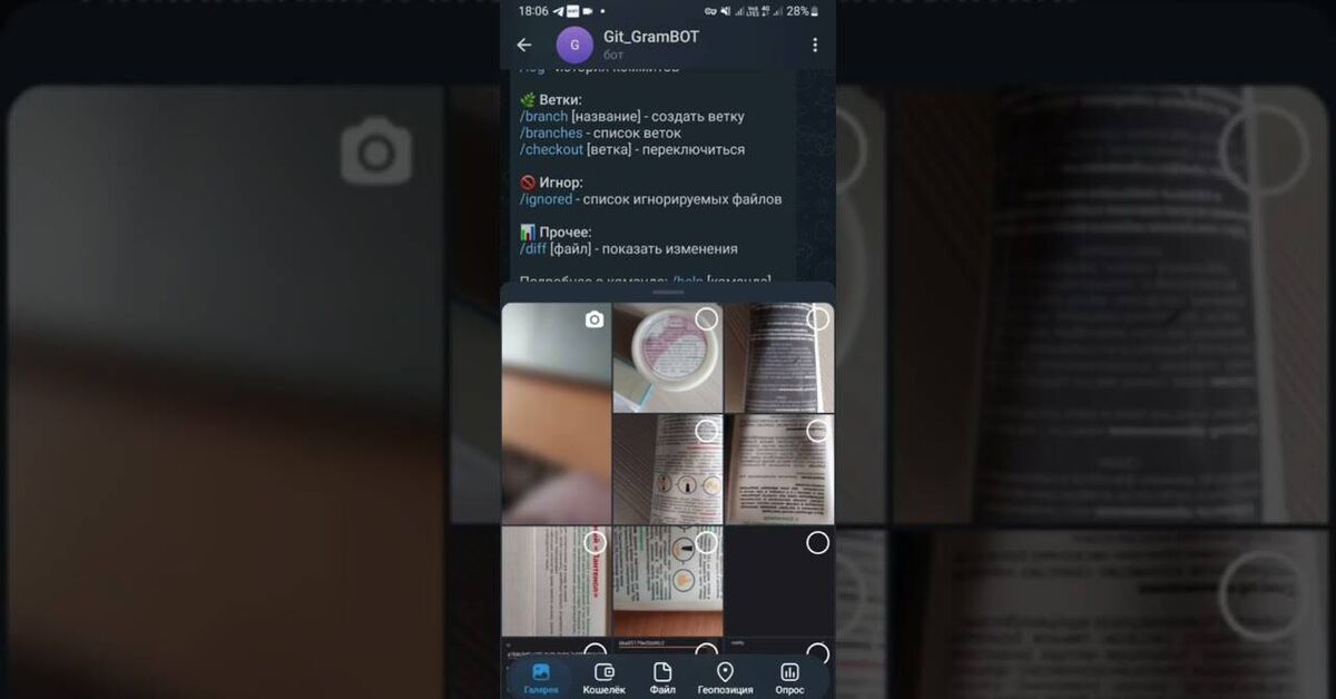 Гит в телеграм. добавляем файл - Моё, Telegram, Нововведение, Python, Git, Видео, YouTube, Короткие видео