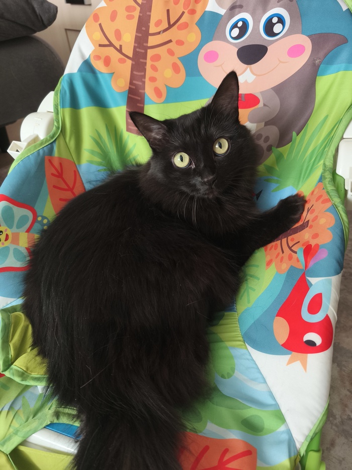 � ������ �� ��� ���� ������� ������??