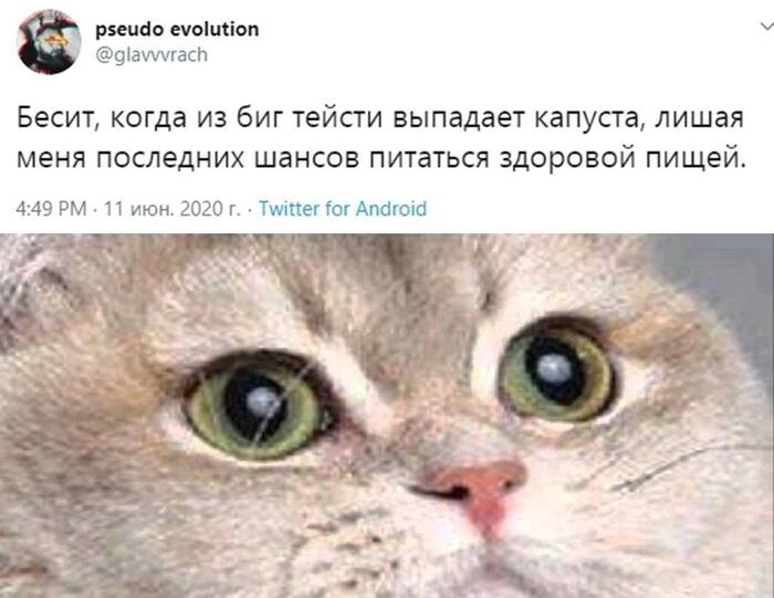 Капуста последний бастион здоровья