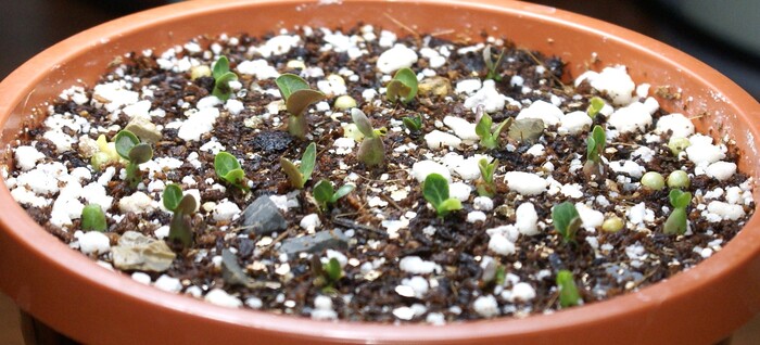 ����� ��������� �� 14.03.26.