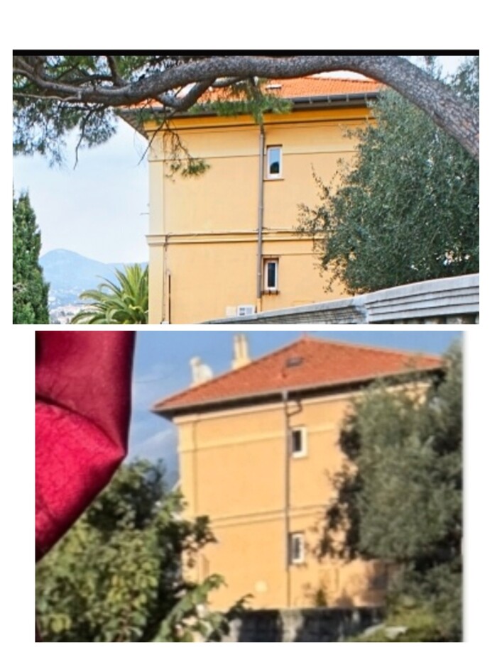 ��� ���������