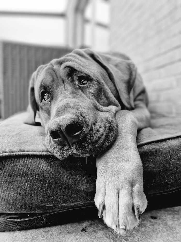 ������ ��� ������...