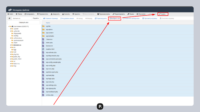 CPanel � Plesk ������ �� ������. ����������, ��� ��������� �� ispmanager � �� ��������