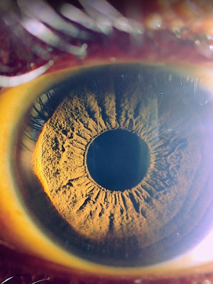 Redmi Note 10 pro max