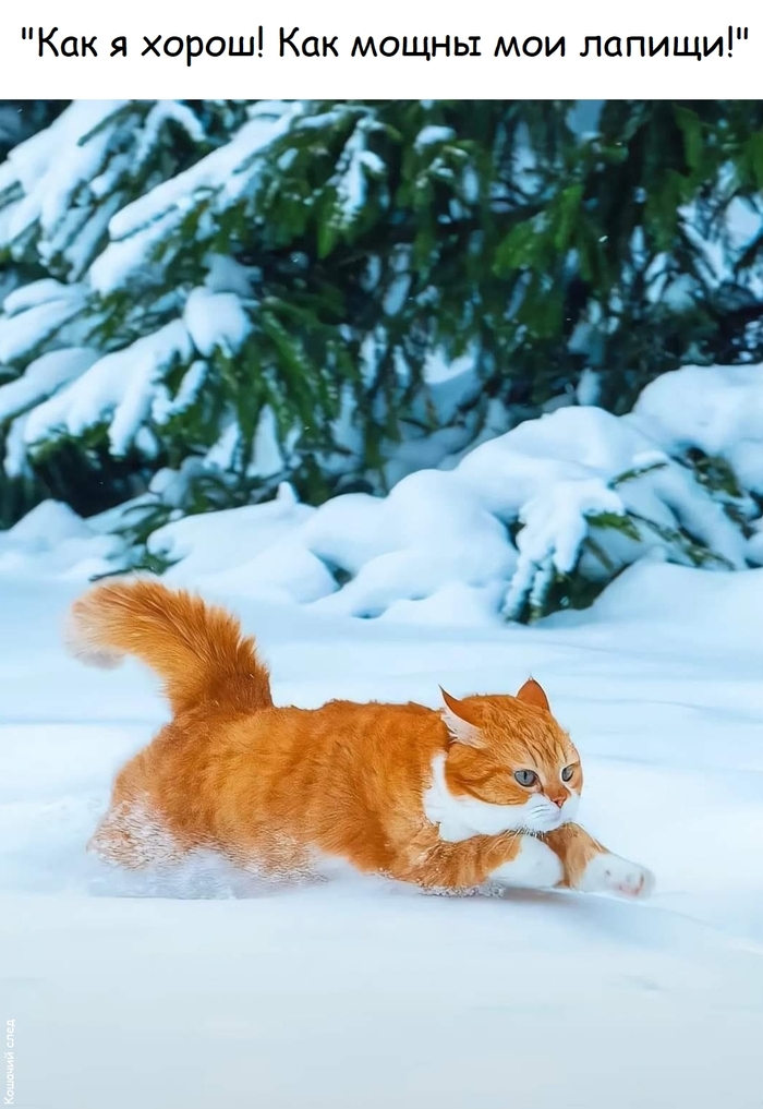 ��� ����� ��� ������