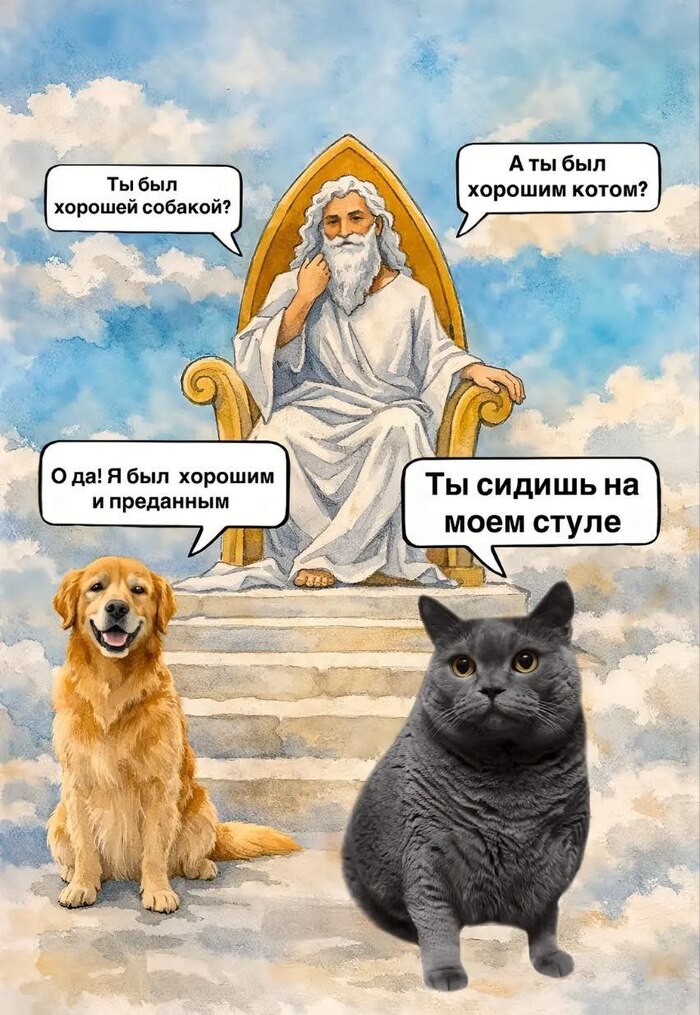 ��� ����� � ���� �������