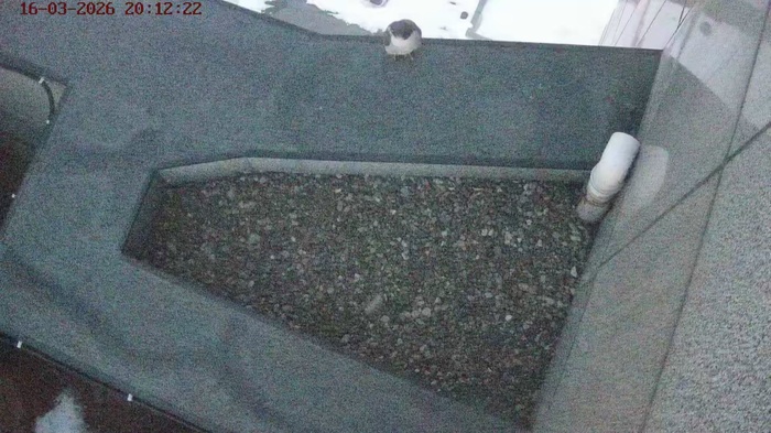 �������� � �����������, ������������� �� ����� ������� � ���