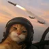 MightyAcat