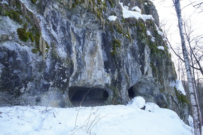 ������������ ������ �� ���� ��. ����: ������ ��������� 